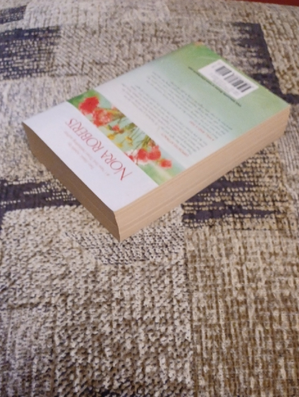 $4 Add-on Nora Roberts "Chances" - Paperback Book (2 In 1) - Picture 4 of 7